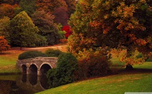 trees-autumn-bridge-stourhead-wiltshire.webp
